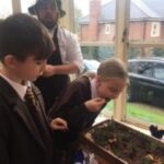 Bush Tucker Trial