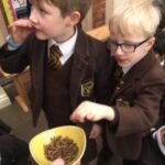 Bush Tucker Trial