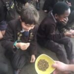 Bush Tucker Trial