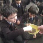 Bush Tucker Trial